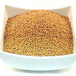 Moutarde en grains - 2.3kg - Tousain