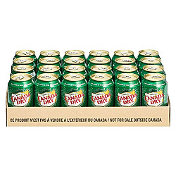 Ginger Ale en cannette - 24X355ml