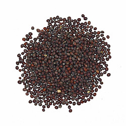 Grain de moutarde entier noir - 10kg - Valli