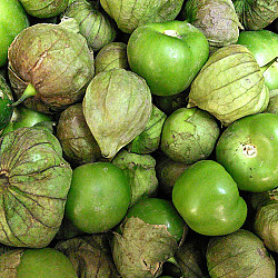 Tomatillo frais - 10LBS