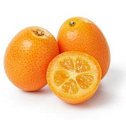 Kumquat frais - 2KG