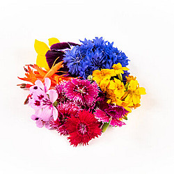 Fleurs comestibles - 1 casseau