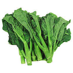 Brocolis chinois Gai Lan frais - Caisse