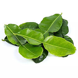 Feuille de lime kéfir - 100GR