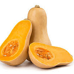 Courge butternut - Unité