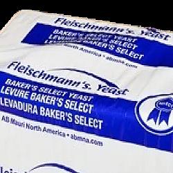Levure fraiche 454G - Fleischmann