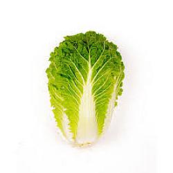 Choux Nappa - 1 unitée