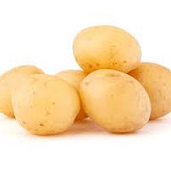 Patates grelots blanches - 50LB