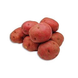 Patates rouges larges - 50LB