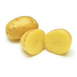 Patates Yukon gold larges - 50LB