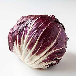 Laitue radicchio - 9/12 unitées