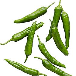 Piments shishito - 2KG