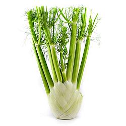 Anis ( Fenouil) - 24/30 unitées