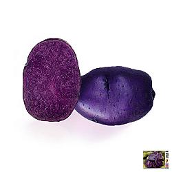 Patates mauves - 20LB