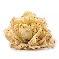 Laitue Castelfranco - 2,5KG