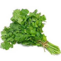 Cerfeuil - 12 bouquets