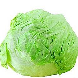 Laitue pommée - 1 unitée