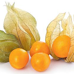 Cerises de terre - 12X100G