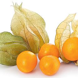 Cerises de terre - 100G