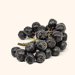 Baies d'aronia surgelées - 5X1KG