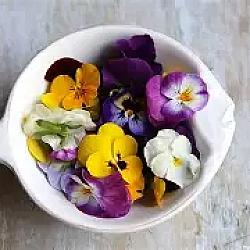 Fleurs comestibles mixtes - 100g